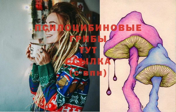 Альфа ПВП Нефтекумск